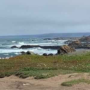 Meet your Posher, Paula